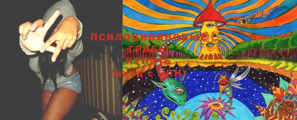 ПСИЛОЦИБИНОВЫЕ ГРИБЫ Верхнеуральск