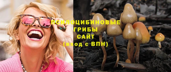 стаф Верхний Тагил