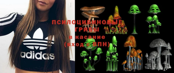ПСИЛОЦИБИНОВЫЕ ГРИБЫ Верхнеуральск